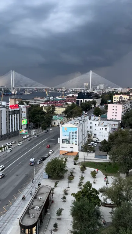 Квартира с восхитительным видом на бухту и Золотой мост