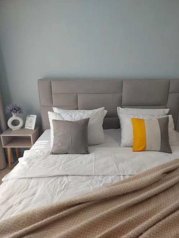 1 комнатные апартаменты в центре города