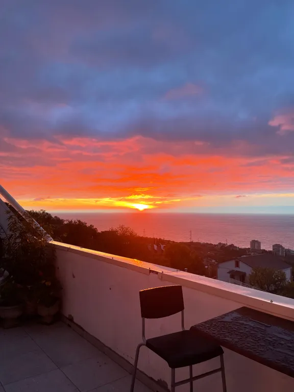 Можжевеловая роща