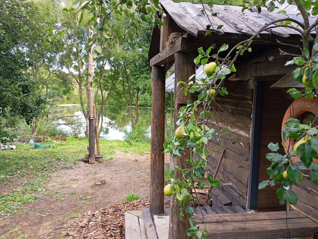 Изба с уютом детства, деревенский дом с баней и русским бытом