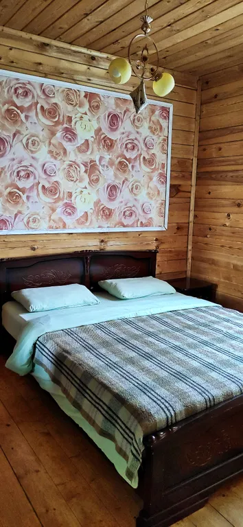 Усадьба Роза на Селигере с русской баней Red haus