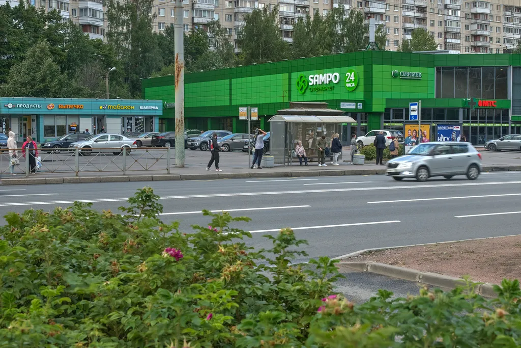 Двухкомнатная квартира у парка Сосновка