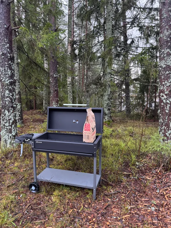 Дом в лесу рядом с озером