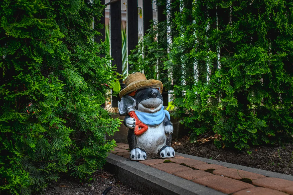 Бунгало Западное