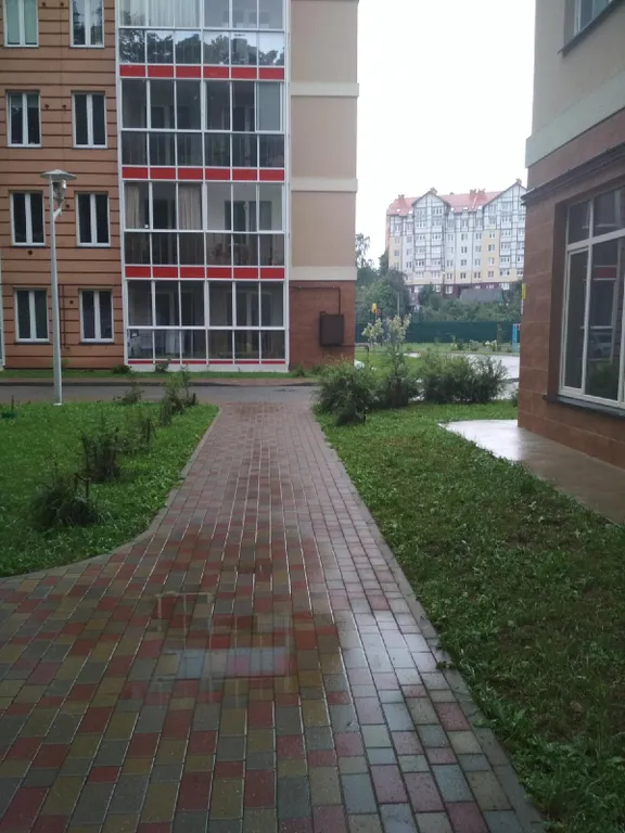 Квартира Уютная квартира на побережье Балтийского моря — Светлогорск