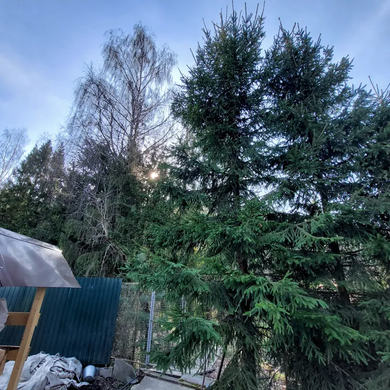 Новый год в Подмосковье. Идеальный дом с баней и чаном