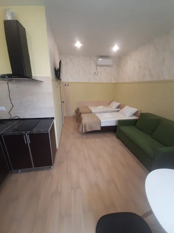 Квартира 1-комнатная Квартира — Сириус