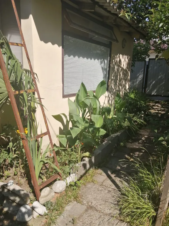 Коттедж Гостевой дом — Сочи