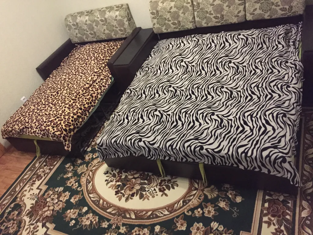 Квартира с панорамным видом на зоопарк