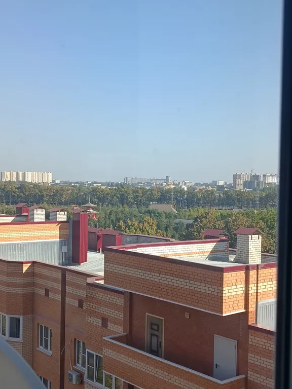 Уютная квартира с видом на парк Галицкого