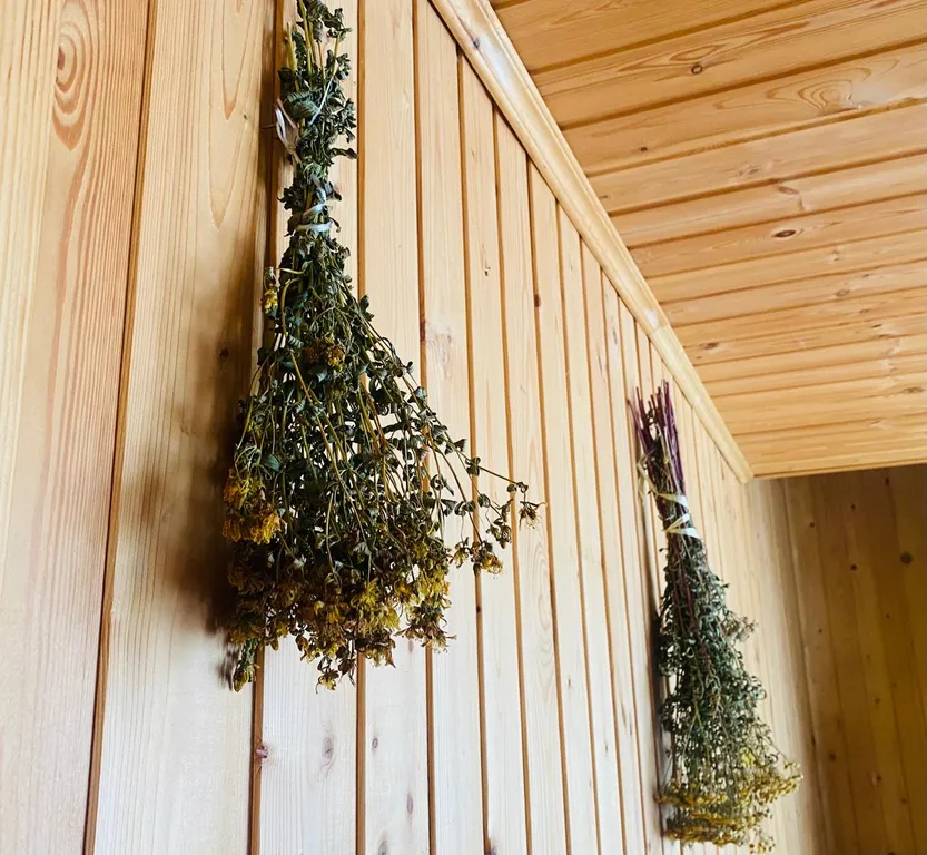 Выход из суеты - не дача Бобёр и Соловьи