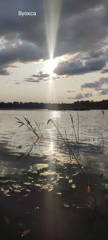 Коттедж Тёплый коттедж с баней на очень большой уединённой территории — Кротово