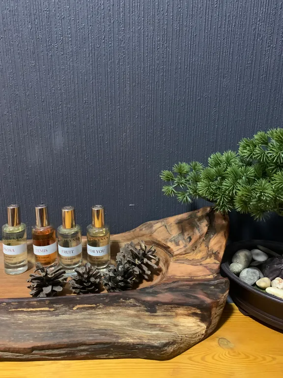 Квартира Уютная квартира в стиле Лес — Мисайлово