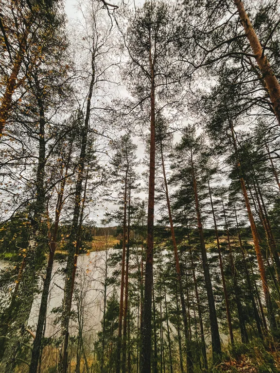 Дом на берегу залива Мусталанлахти
