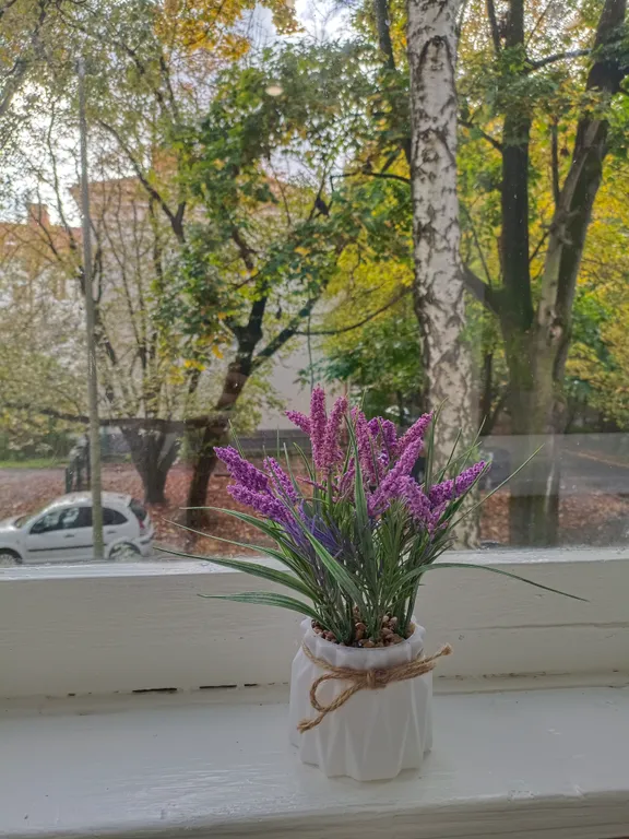 Квартира Квартира у Зоопарка — Калининград