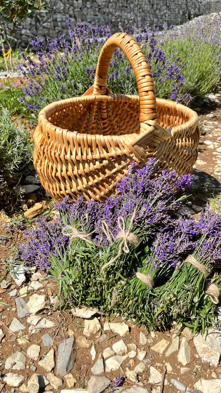 Уютная дача с видом на горы