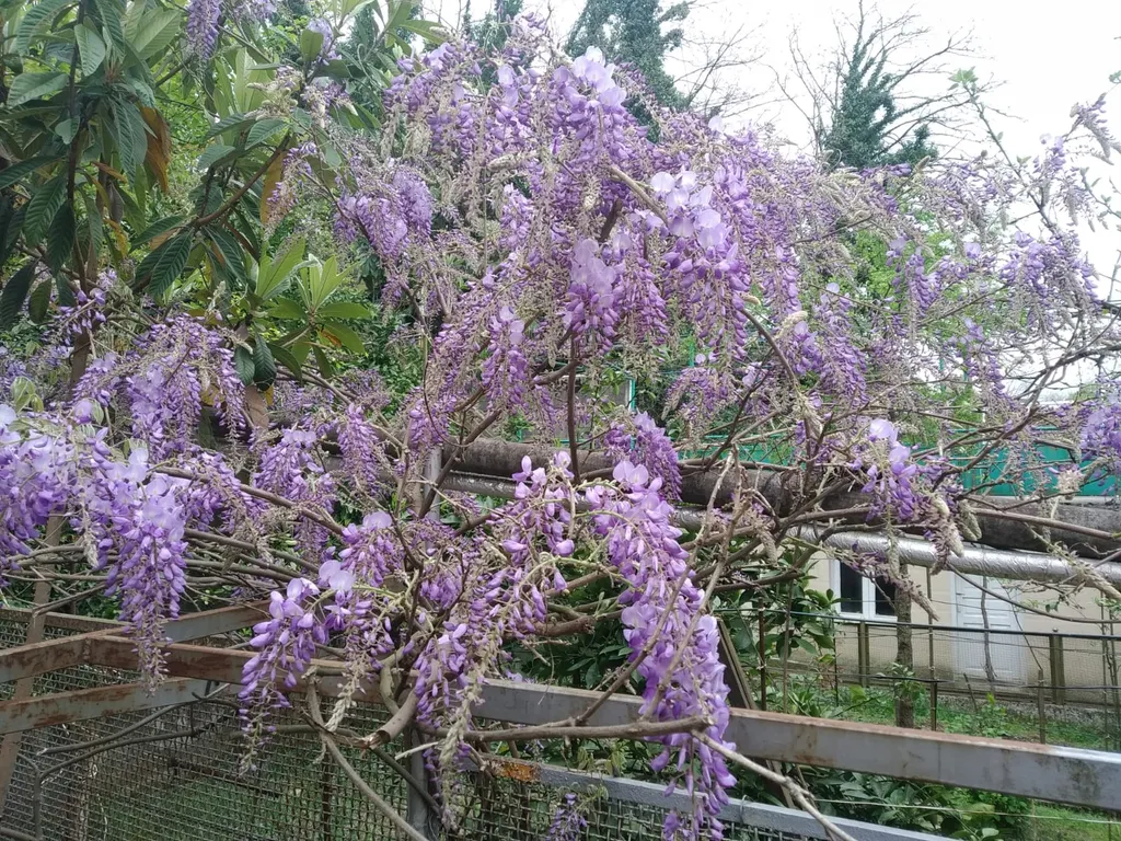 Флигель с балконом в саду