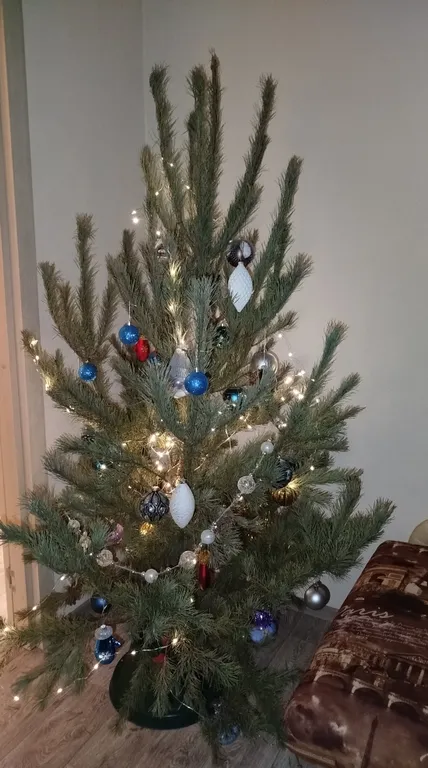 Квартира Уютная квартира в центре — Кронштадт