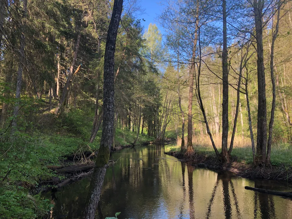 Дом у реки Лынтупка