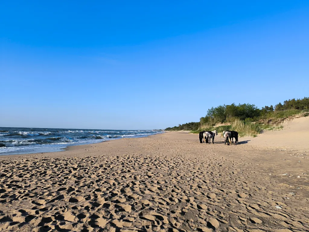 Отдых у моря