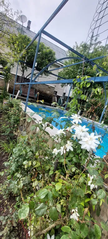 Коттедж Гостевой дом в сердце Красной поляны — аренда посуточно в Красная Поляна