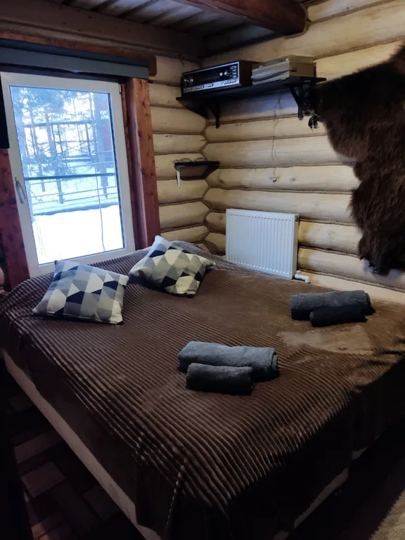 Просторный деревянный лесной дом с двумя спальнями