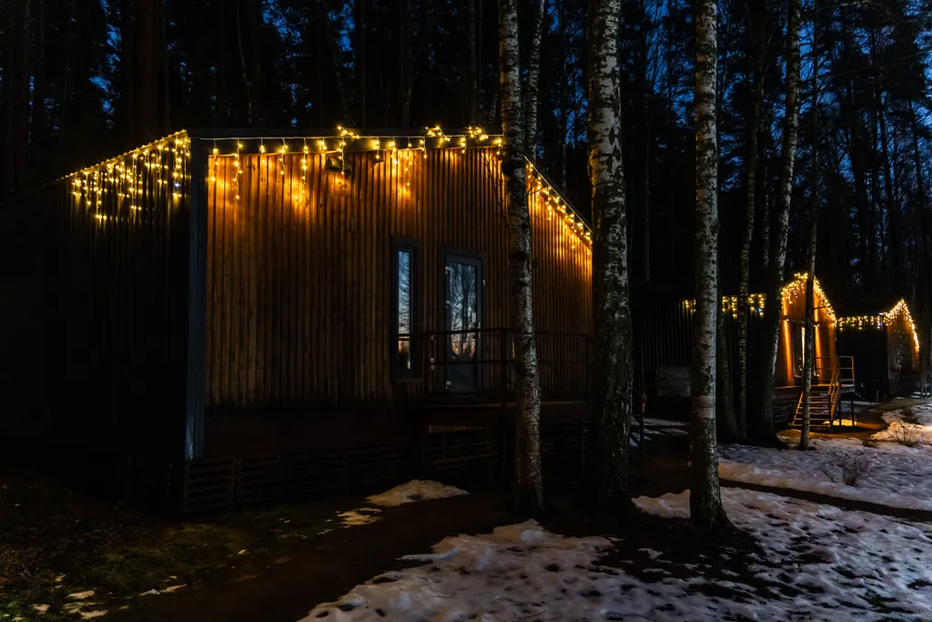 Дом с видом на лес