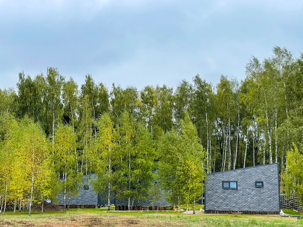 Коттедж Барнхаус с видом на лес — Захарково