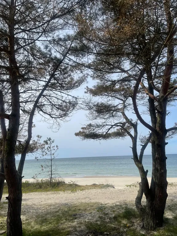 Домик у моря люкс