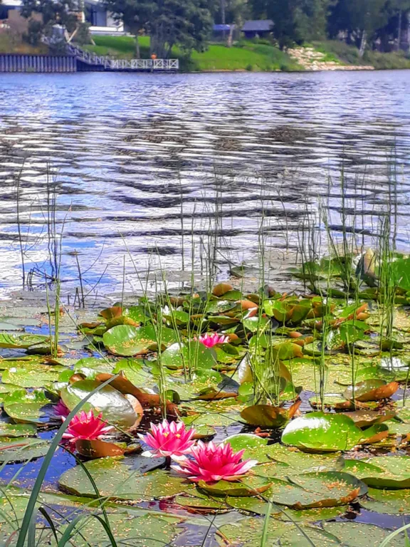 Квартира у озера с террасой