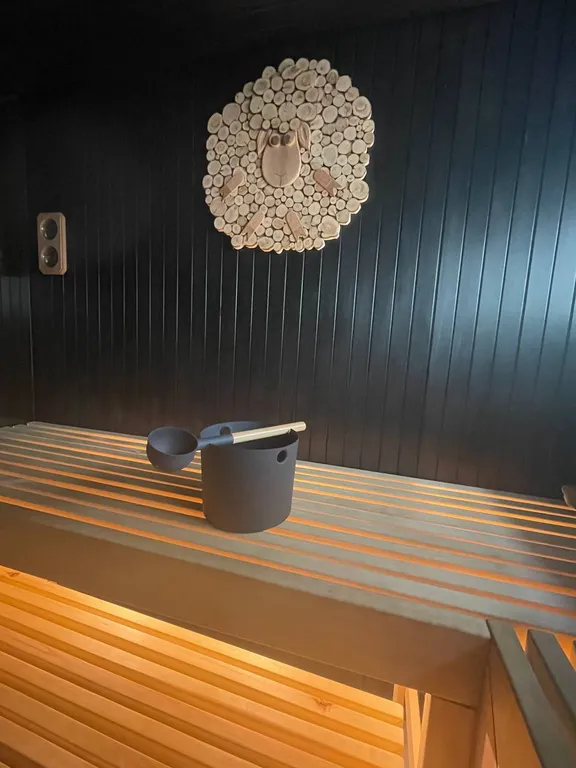 Большое солнечное шале Афрейм с баней и купелью в березовом лесу