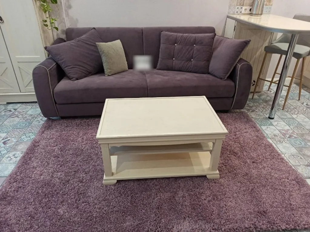 Студия в жк сколковский