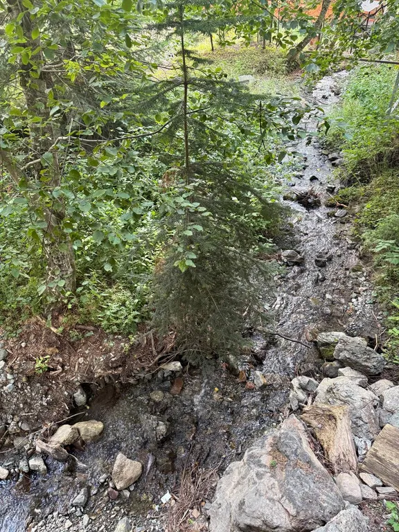 Шале Зарево 2