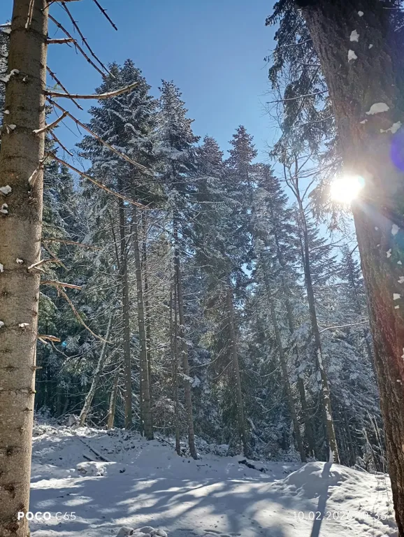 Коттедж Коттедж Logovo resort — Архыз