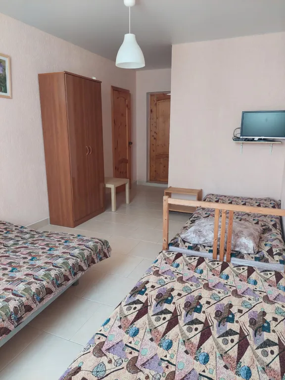 Квартира 1-комнатная Квартира — Голубицкая