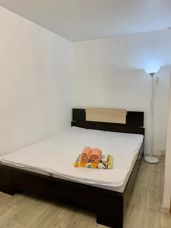 Уютная квартира с двухспальной кроватью