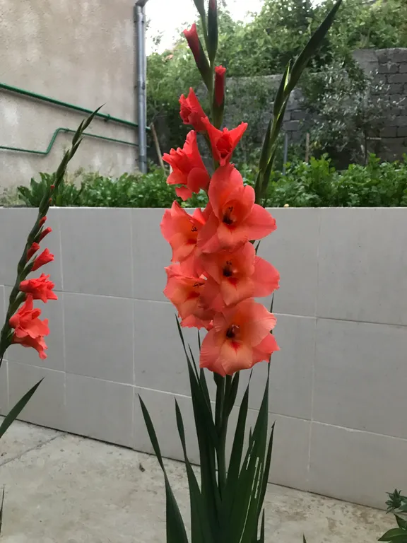 Коттедж Частный дом на Мамайке рядом с морем — Сочи