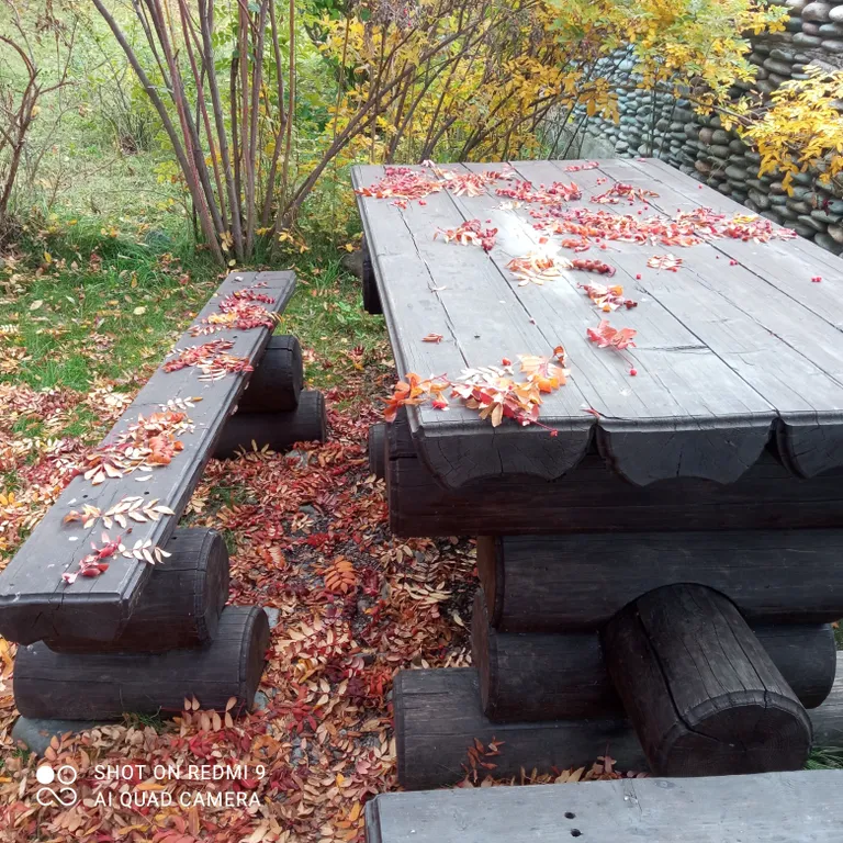 Дом с видом на реку