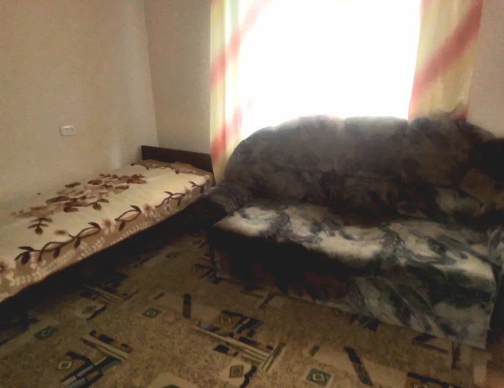 Светлая и тёплая квартира