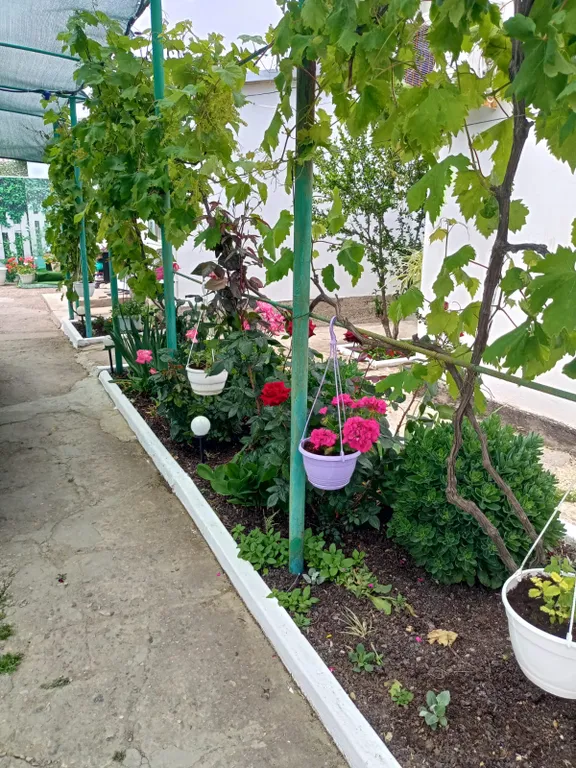 Коттедж Уютный домик у моря — аренда посуточно в Приморский