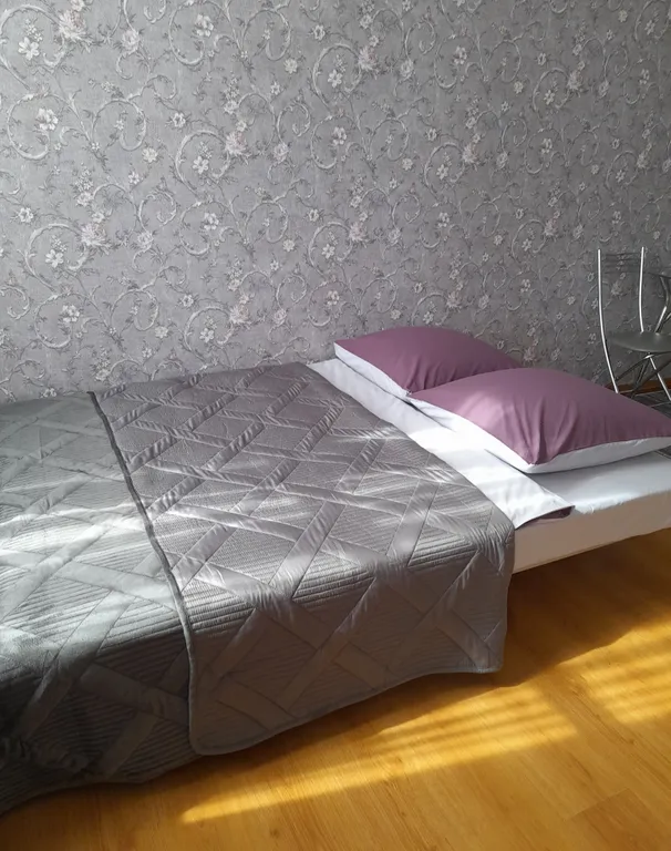 Квартира с видом на Выборгский замок