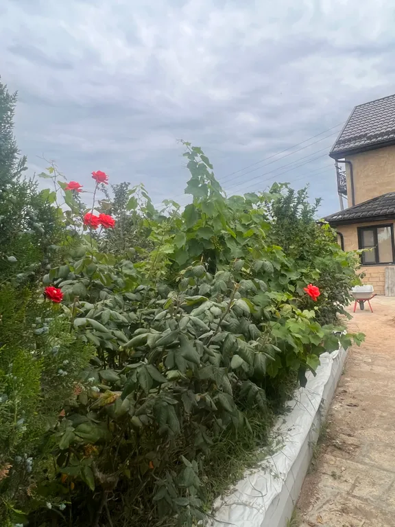 Дом на берегу Каспийского моря