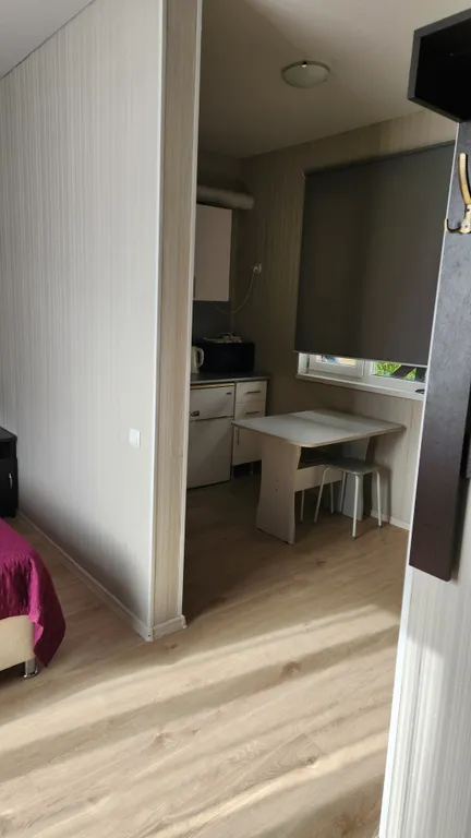 Квартира Комната с кухней и ванной комнатой — Сириус