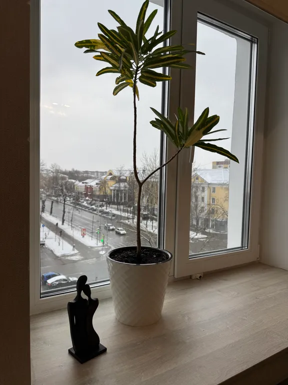 Стильная квартира в центре города