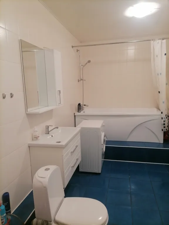 Дом около нового моста