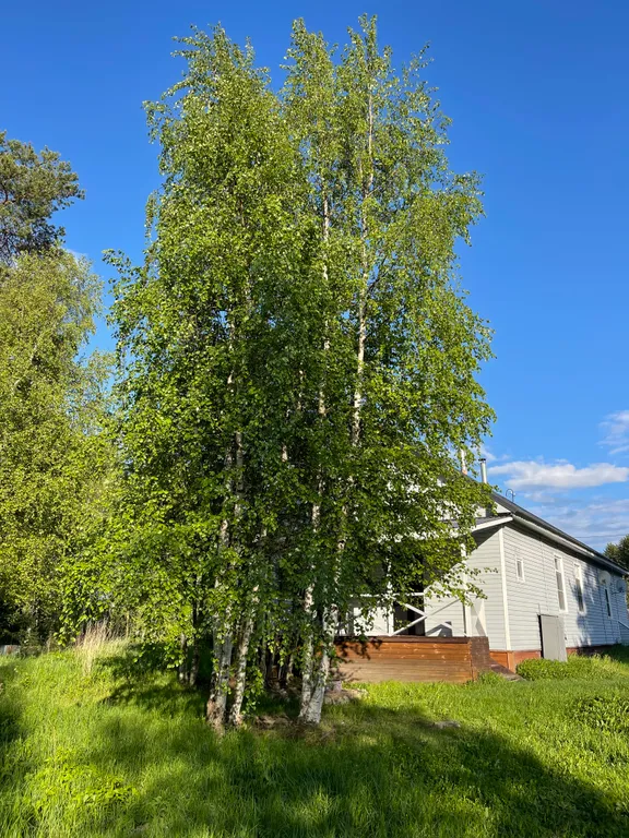 Уютная часть дома в шаговой доступности от озера Сямозеро