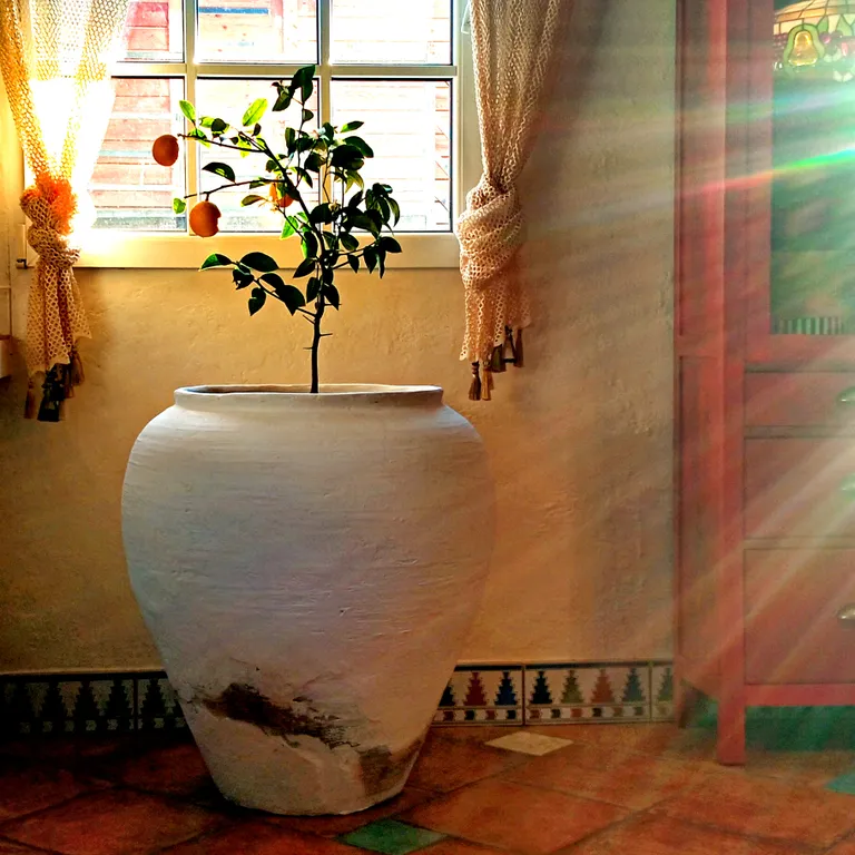 Коттедж Загородный дом Восточный склон — Пластунка