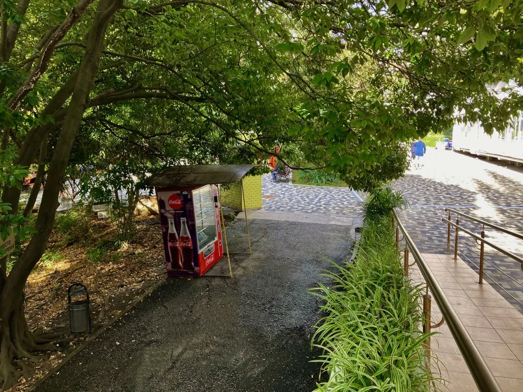 Квартира Апартаменты Светлана-Центр с видом на сад магнолий — Сочи