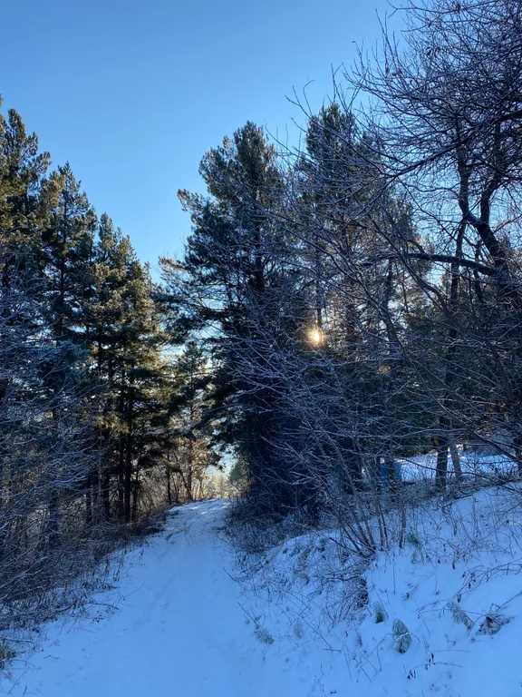1-комнатная Квартира — аренда посуточно в Белокуриха