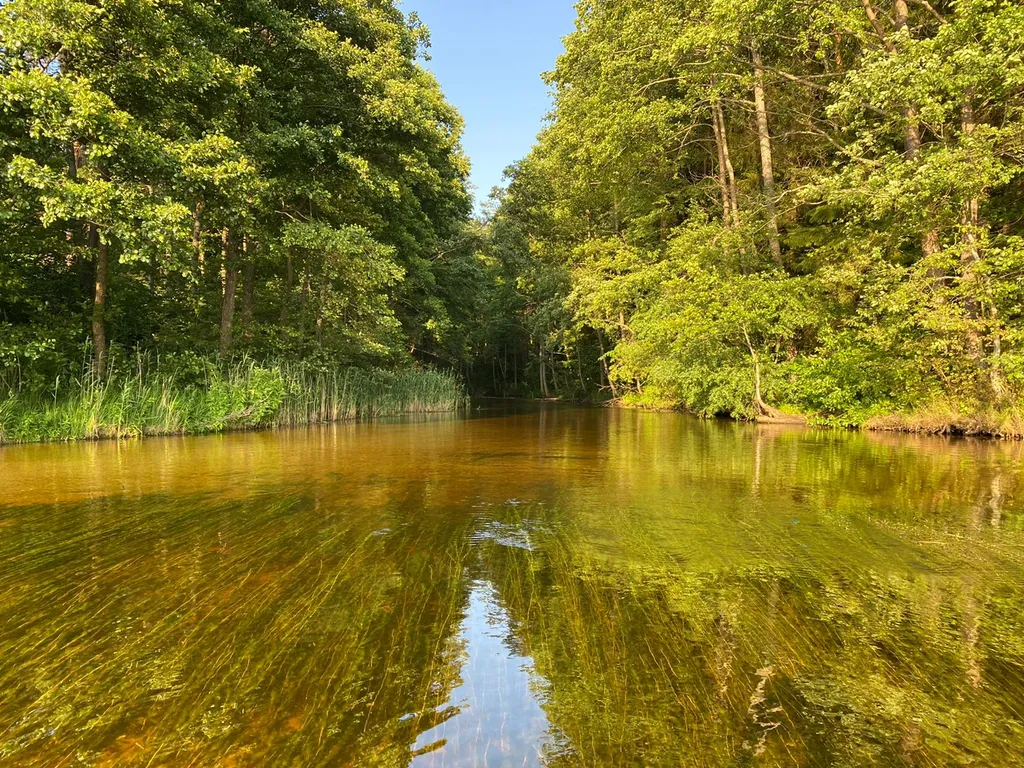 Дом с видом на озеро